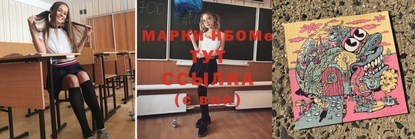 МДПВ Снежногорск