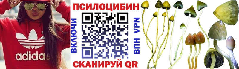 Галлюциногенные грибы Cubensis  купить закладку  Красноуральск 
